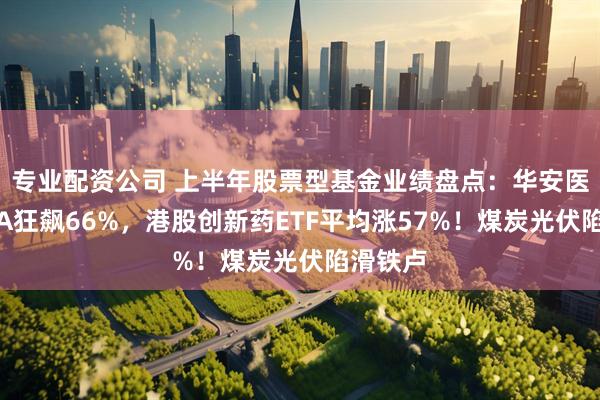 专业配资公司 上半年股票型基金业绩盘点：华安医药生物A狂飙66%，港股创新药ETF平均涨57%！煤炭光伏陷滑铁卢